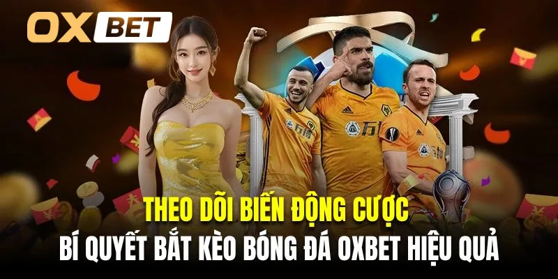 Theo dõi biến động cược là bí quyết bắt kèo bóng đá Oxbet hiệu quả