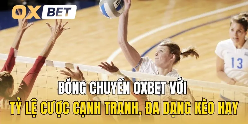 Bóng chuyền Oxbet với tỷ lệ cược cạnh tranh, đa dạng kèo hay