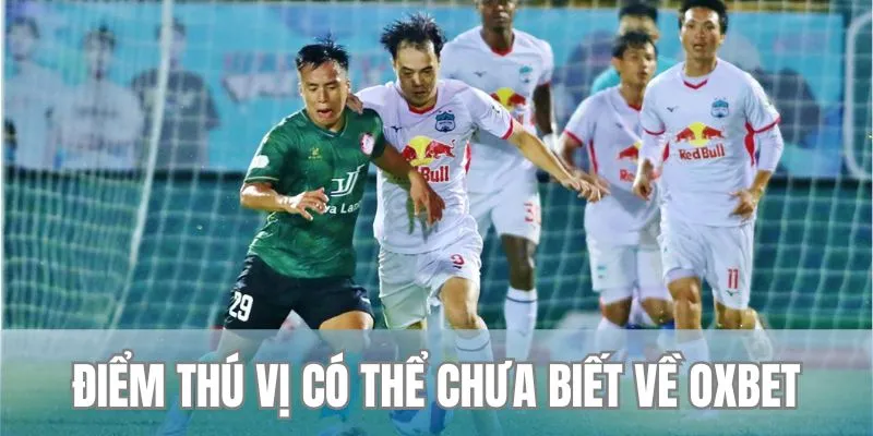 Thông tin sơ lược về địa điểm giải trí Oxbet hàng đầu hiện nay