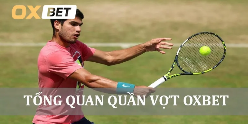 Tổng quan quần vợt Oxbet